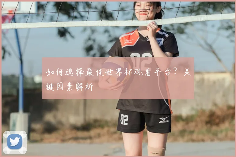 如何选择最佳世界杯观看平台?关键因素解析