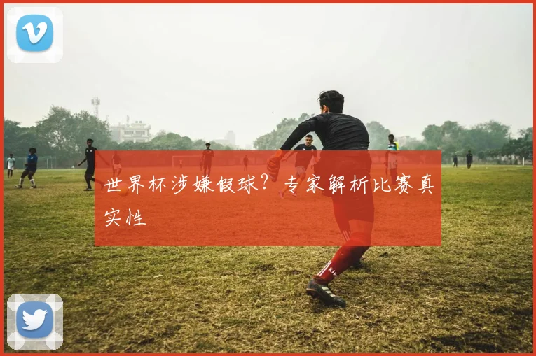 世界杯涉嫌假球？专家解析比赛真实性