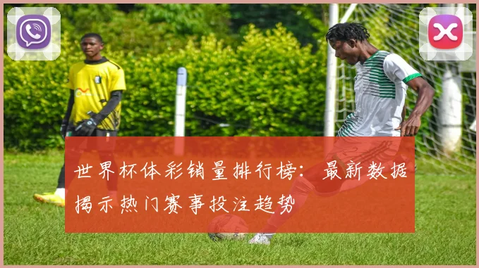 世界杯体彩销量排行榜：最新数据揭示热门赛事投注趋势