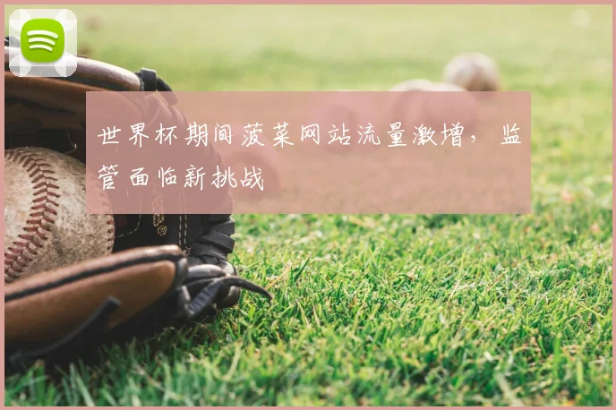 世界杯期间菠菜网站流量激增，监管面临新挑战