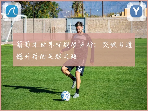 葡萄牙世界杯战绩分析：突破与遗憾并存的足球之路