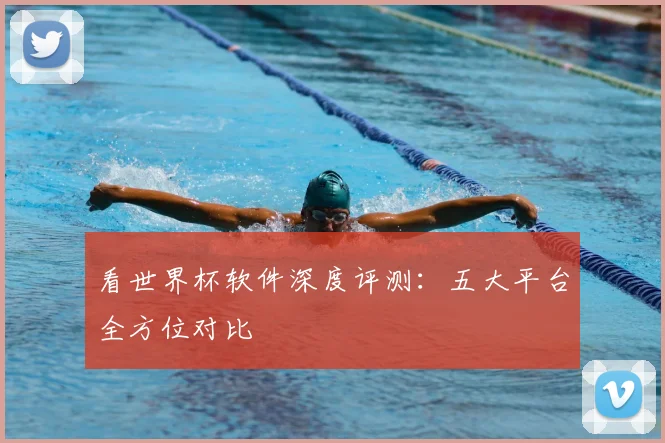 看世界杯软件深度评测：五大平台全方位对比