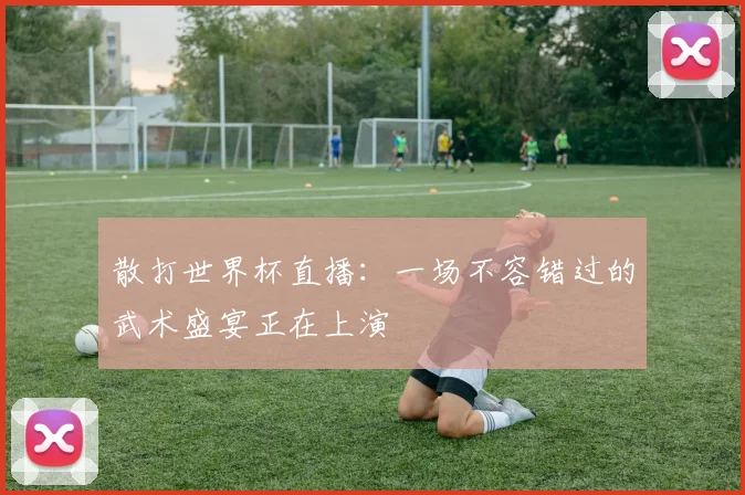 散打世界杯直播:一场不容错过的武术盛宴正在上演
