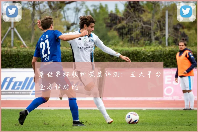 看世界杯软件深度评测：五大平台全方位对比