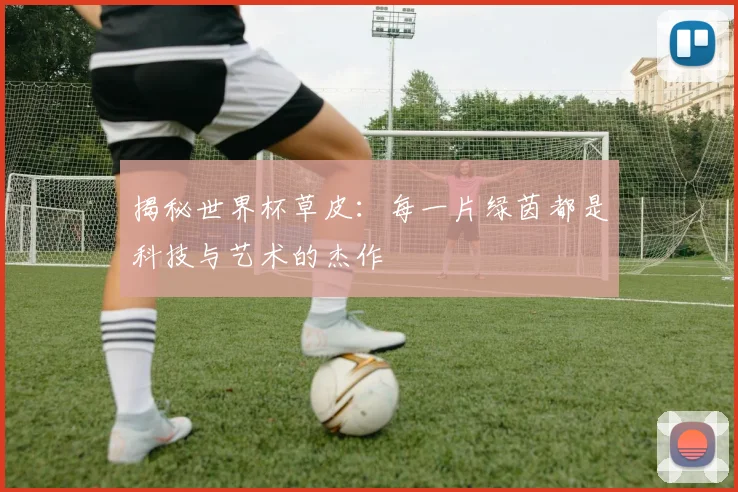 揭秘世界杯草皮：每一片绿茵都是科技与艺术的杰作
