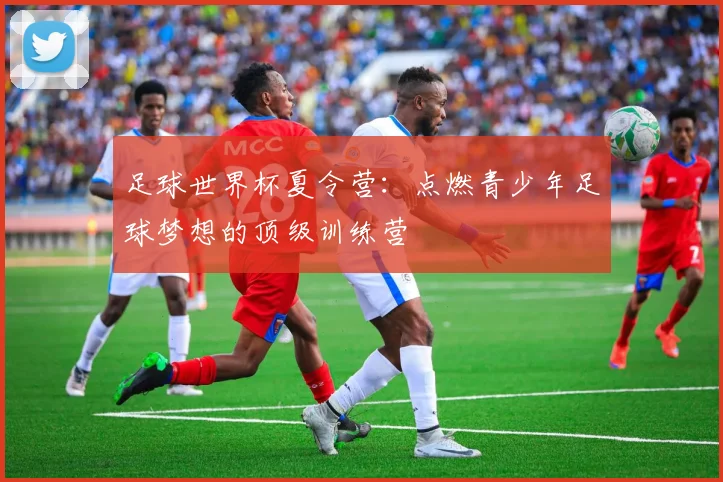 足球世界杯夏令营:点燃青少年足球梦想的顶级训练营