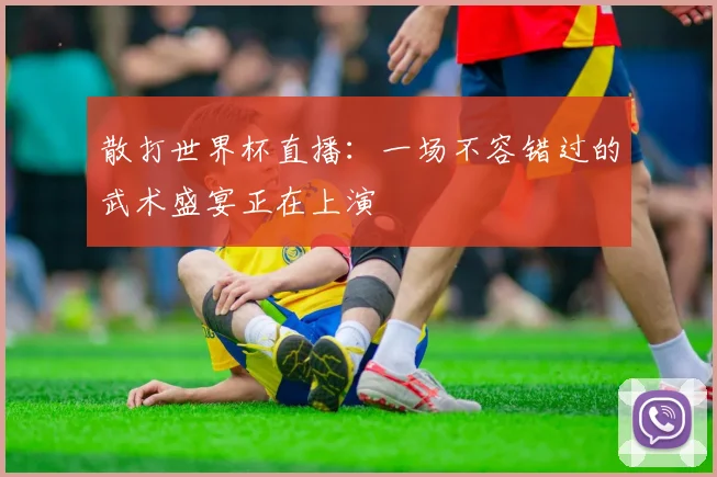 散打世界杯直播：一场不容错过的武术盛宴正在上演