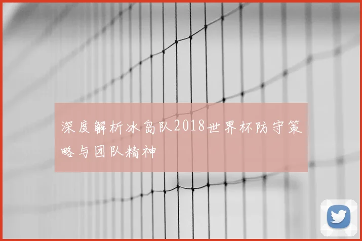 深度解析冰岛队2018世界杯防守策略与团队精神