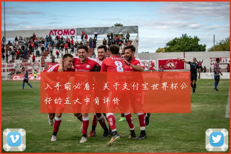 入手前必看：关于支付宝世界杯公仔的五大中肯评价