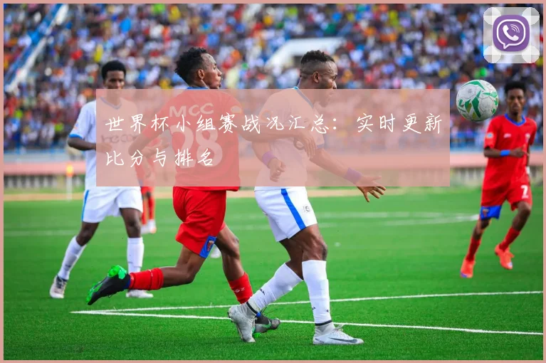 世界杯小组赛战况汇总：实时更新比分与排名