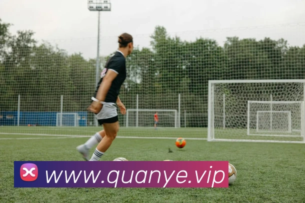 ayx爱游官方网站平台生态图